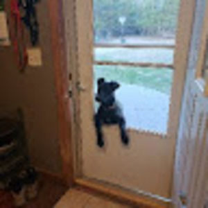 Meet your Posher, Chris